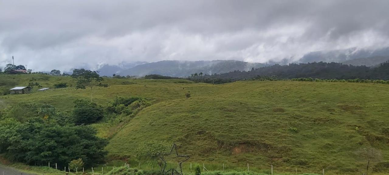 El Rincon De Las Flores Bajo Tigre Eksteriør billede
