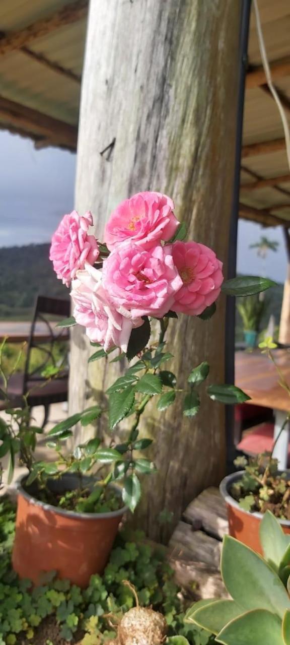 El Rincon De Las Flores Bajo Tigre Eksteriør billede